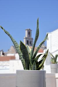 Foto de la galeria de Attico Cinquantasei a Cisternino