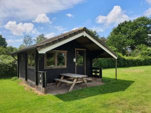 a black cabin with a picnic table in the grass at Trekkershut Plus voor 5 personen incl keuken in Zwiggelte