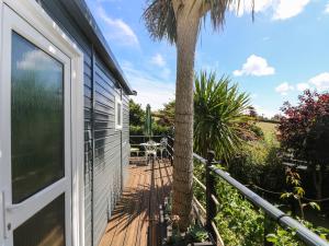 a deck with a palm tree next to a house at Palm Lodge in Penzance