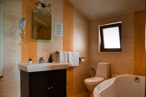 La salle de bains est pourvue d'un lavabo, de toilettes et d'un miroir. dans l'établissement Pensiunea Clasic Hunedoara, à Peştişu Mare