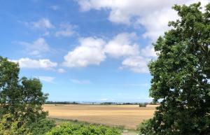 un campo y árboles con un cielo azul y nubes en Gästehaus Muhl, en Strukkamp auf Fehmarn