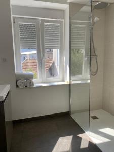 a bathroom with a shower and two windows at Les Appartements de la Gare in Colmar