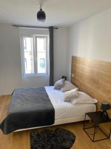 - une chambre avec un grand lit et une fenêtre dans l'établissement Les Appartements de la Gare, à Colmar