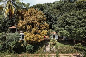 a house in the middle of a forest with a tree at Pueblo del Sol Hotel Retreat in Puerto Escondido