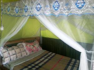a bedroom with a bed with a canopy at Mbunga Community Tourism Campsite in Kasese