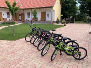 a row of bikes parked in front of a building at Gyöngyike Vendégház - Szakály 