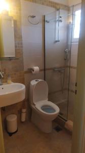 uma casa de banho com um WC, um chuveiro e um lavatório. em Eleonas Studios em Poros