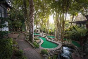 un parcours de golf au milieu d'une forêt plantée d'arbres dans l'établissement Bavaria Sport Hotel, à Gramado