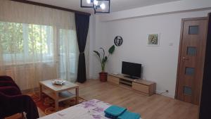 a living room with a couch and a tv in it at Gamma Group Sud in Bucharest