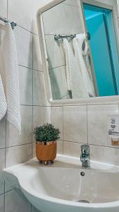 um lavatório de casa de banho com um vaso de plantas em Aqua Hotel em Polkowice