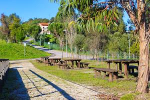 a row of wooden benches in a park at Coimbra Camping & Bungalows in Coimbra