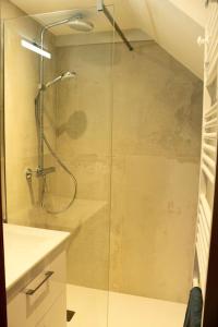 a shower with a glass door in a bathroom at Chalet La Plagne Montalbert Pied des Pistes in Aime-La Plagne