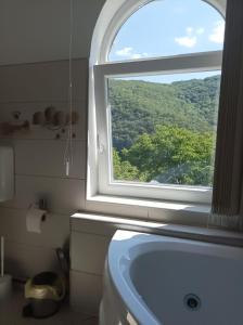 a bathroom with a window and a bath tub at Casa Victoria Anina in Anina