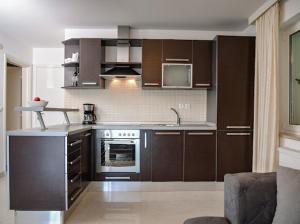 Kuchyň nebo kuchyňský kout v ubytování Apartments Villa Slavica