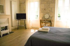 a bedroom with a bed and a tv and a fireplace at ENTRE PIERRE ET BOIS in Saint-Savinien