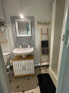 La salle de bains est pourvue d'un lavabo et d'un miroir. dans l'établissement Entre rivière & bambous / Vue rivière / Parc arboré, à Saint-Juéry