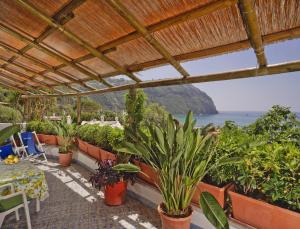 eine Terrasse mit Topfpflanzen und Meerblick in der Unterkunft Appartamenti Casa del Sole in Ischia