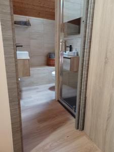 een badkamer met een douche, een wastafel en een spiegel bij Buscando el Norte in Cabrillanes
