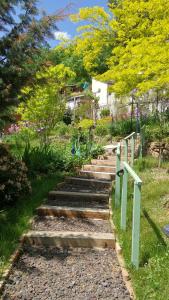 聖埃盧瓦－萊米訥的住宿－La Cadanise, Suite Étoilée，花园里的一套石头楼梯