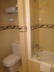 a bathroom with a shower and a toilet and a tub at Apartamentos Peña Mar in Castropol