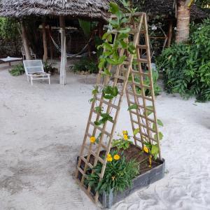 a wooden ladder with flowers in a planter on the beach at Ocean Boho House in Jambiani