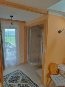 a bathroom with a shower and a chair in a room at Haus Sundl - Privatzimmer in Emmersdorf an der Donau