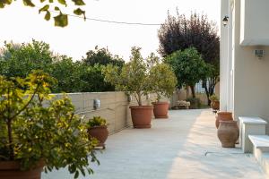a walkway with potted plants and trees in pots at Casa d'Arte in Vrahati