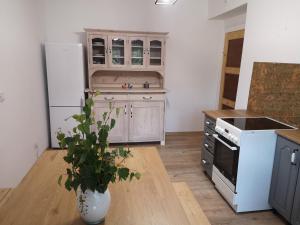 a kitchen with white appliances and a plant in a vase at Agroturystyka Cieślarówka in Lubawka