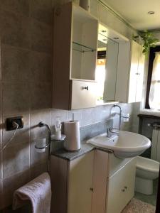 a bathroom with a sink and a mirror and a toilet at Cascina 'La Giardina' in Fossano
