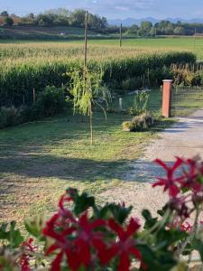 a garden with red flowers in front of a field at Cascina 'La Giardina' in Fossano