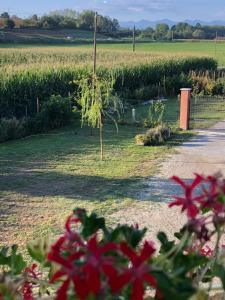 Vonkajšia záhrada v ubytovaní Cascina 'La Giardina'