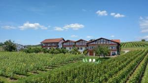 Zahrada ubytování Weinberghof + 13 fotografií