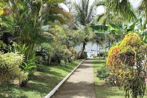 A garden outside Studio Marina pointe du bout vue sur le port