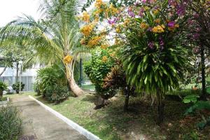 A garden outside Studio Marina pointe du bout vue sur le port