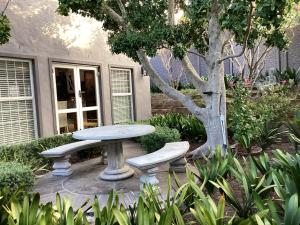 stół, dwie ławki i drzewo w ogrodzie w obiekcie Villa Lyrique w Kapsztadzie