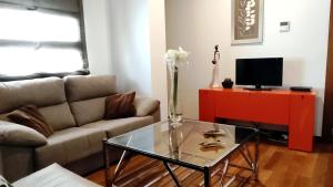 Televízia a/alebo spoločenská miestnosť v ubytovaní Selecta Elegante Apartamento con Patio en Centro Historico