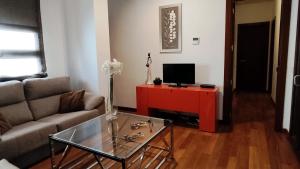 TV a/nebo společenská místnost v ubytování Selecta Elegante Apartamento con Patio en Centro Historico