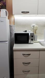 a microwave sitting on top of a kitchen counter at Emanuela SunnySide in Kavála