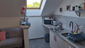 Kuchyň nebo kuchyňský kout v ubytování Studio apartman GRIZZLY