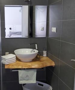 Koupelna v ubytování Studio apartman GRIZZLY
