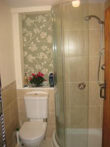 a bathroom with a toilet and a shower at Prospect Cottage in Box