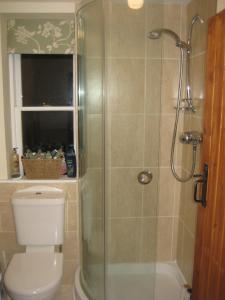 a bathroom with a shower and a toilet at Prospect Cottage in Box