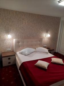 a bedroom with a large bed with two pillows at Casa Adelina in Băile Herculane +15 photos