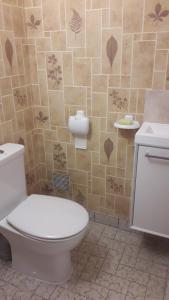 a bathroom with a toilet and a tiled wall at La Fruitière in Chaudenay +38 photos