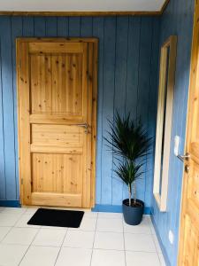 une chambre bleue avec une porte en bois et une plante en pot dans l'établissement Ruhige Ferienwohnung direkt am Rennsteig, à Igelshieb