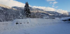 un campo cubierto de nieve con un árbol y montañas en Gästehaus Scharler en Neukirchen am Großvenediger