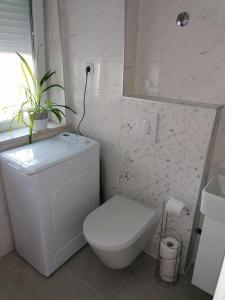 ein weißes Bad mit einem WC und einer Pflanze in der Unterkunft Galeb in Rijeka