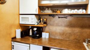 a kitchen with a counter top with a microwave at Guest House Chepelare in Chepelare