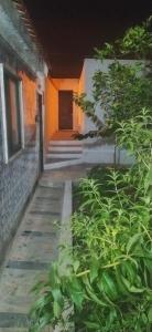 um alpendre de uma casa com uma porta e algumas plantas em Ginjals-67 em Almargem do Bispo