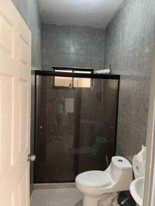 a bathroom with a toilet and a person standing in a shower at Apartamentos Tamarindo Guanacaste 3 in Guanacaste